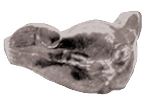 Childrens Pewter Ring - Victorian Cat Face Childrens Pewter Ring - Victorian Cat Face