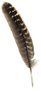 Owl Feather Ballpoint Owl Feather Ballpoint