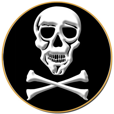 Pirate Coasters - Skull and Crossbones