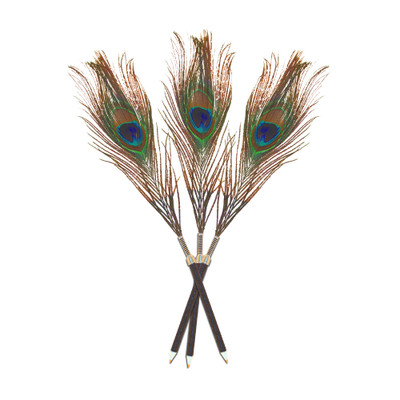Peacock Feather Quills - Peacock Pen