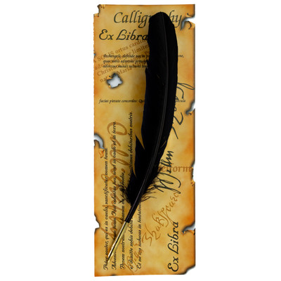 Writing Quills - Ink Knib Shakespeare Card - Packed in 24's