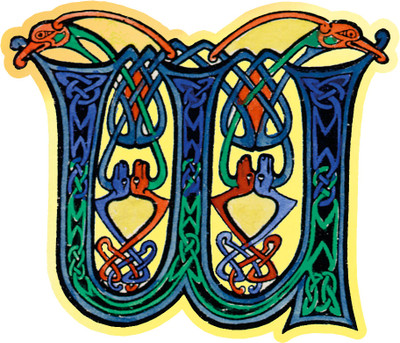 Cutout Badge Pins - Celtic - "W"