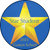 Christmas Star design - Crystal lens Resin Sticker Christmas Star design - Crystal lens Resin Sticker
