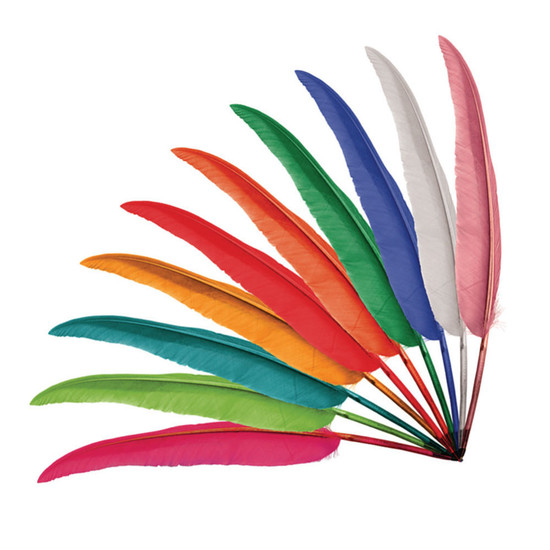 Goose Feather Quills Mixed colours - packed in 1000's