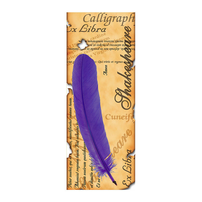 Writing Feather Quills Calligraphy Ballpoint Pen Pack of 48