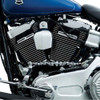 Harley Davidson Chrome Skull Shift Linkage - Installed