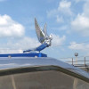 Chrome Flying Goddess With Vertical Wings Hood Ornament On Truck
