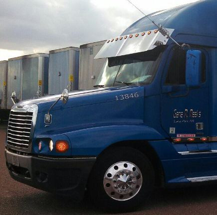 SemiTruck Sun Visors & Drop Visors Raney's Truck Parts