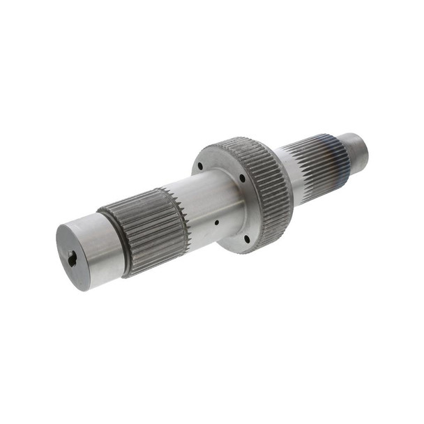 960243_01_XL__53385.1741102234