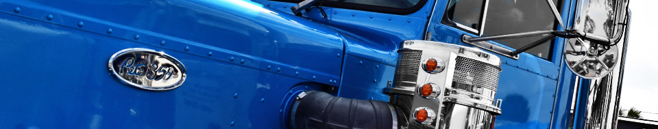 Peterbilt 359 Truck Parts and Accessories Banner Peterbilt 359 Parts and Accessories