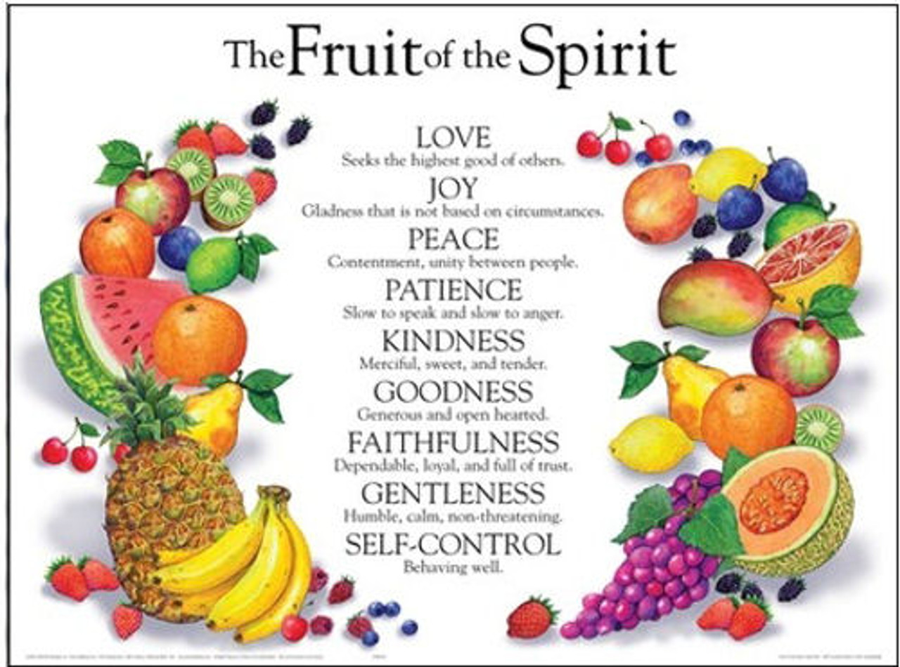 Fruit of the Spirit Wall Chart - Laminated - CEI Bookstore / Truth  Publications