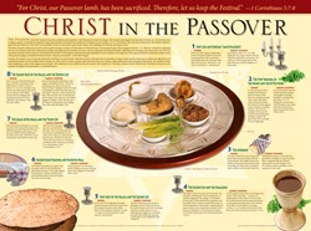 Wall chart Christ in the Passover- laminated - CEI Bookstore / Truth ...