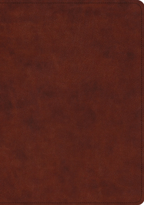 Bible ESV Study TruTone Chestnut Bible ESV Study TruTone Chestnut