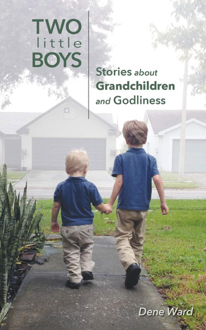 Two Little Boys: Stories About Grandchildren and Godliness