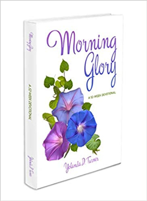 Morning Glory Morning Glory