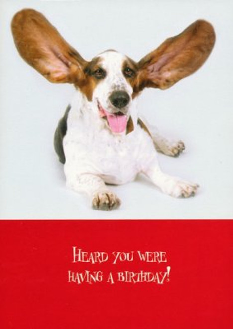 Boxed Cards - Birthday - Paws for Celebration Boxed Cards - Birthday - Paws for Celebration