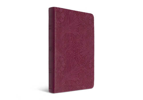 ESV Large Print Value Thinline Bible TruTone Raspberry ESV Large Print Value Thinline Bible TruTone Raspberry