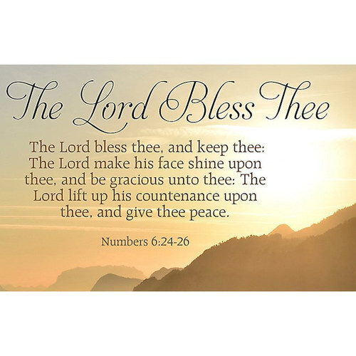 Postcard-Praying For You (Colossians 1:3 KJV) (Pack Of 25)' - CEI