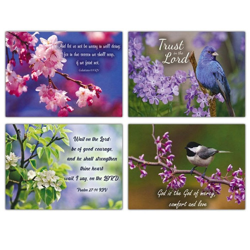  Boxed Cards - KJV Encouragement Springtime (Box Of 12)
