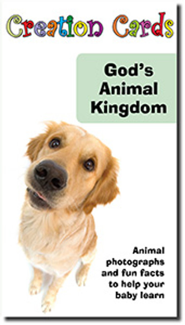 Creation Cards God's Animal Kingdom Creation Cards God's Animal Kingdom