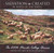 Salvation is Created - FC Chorus CD 2006 Salvation is Created - FC Chorus CD 2006