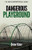 Dangerous Playground: The Christian and Social Media (paperback) Dangerous Playground: The Christian and Social Media (paperback)