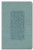  NLT Giant-Print Personal-Size Bible, Filament Enabled Edition--soft leather-look, floral frame teal (indexed)