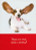 Boxed Cards - Birthday - Paws for Celebration Boxed Cards - Birthday - Paws for Celebration
