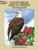Fifty-one accurately detailed, royalty-free renderings include national bird (eagle) and flower (rose) plus 50 state birds and flowers — among them the mockingbird and apple blossom (Arkansas), cardinal and goldenrod (Kentucky), California gull and sego lily (Utah), and 47 others. Identifying captions and full-color versions of all illustrations included on the covers.
