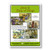 5 Bible Story Cards Jesus, King of Kings