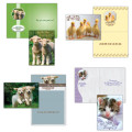 A boxed assortment of get well cards featuring cute animals.  These faith based birthday cards are great to have on hand when you need a card.

Each card features KJV scripture.
3 each of 4 designs
Special Features - printed on the inside
Boxed greeting card assortment 12 cards and envelopes