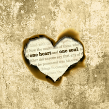 CD4_cover__71270.1446383528.