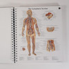 The Worlds Best Anatomical Charts Anatomy and Pathology 6th Edition