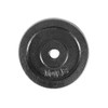 Healthy You Cast Iron Plate Weight 1" 10 lbs