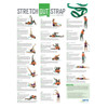 OPTP Stretch Out Strap with Stretching Exercise Poster