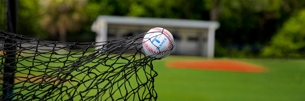 Net with a Baseball