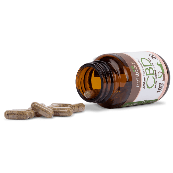 CBD capsules for dogs and cats