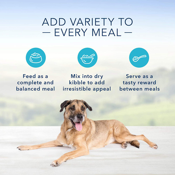 Homestyle Recipe Natural Senior Wet Dog Food