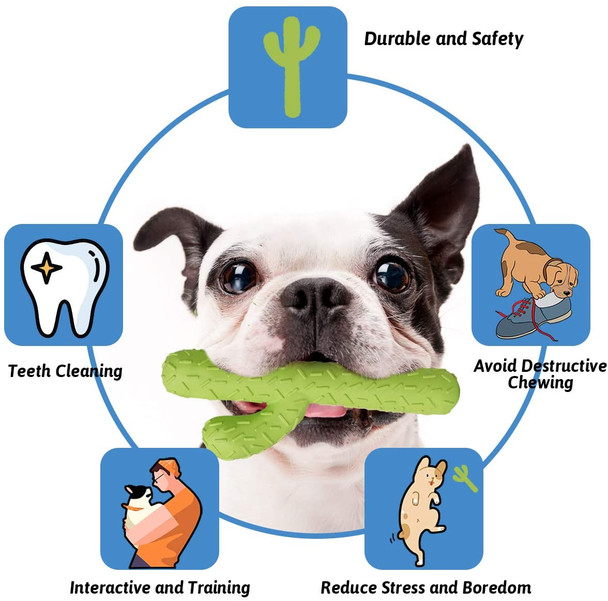 Chewers, Cactus Tough Toys for Training and Cleaning Teeth