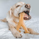 Real Bacon Durable Wishbone Dog Chew Toy for Aggressive Chewers