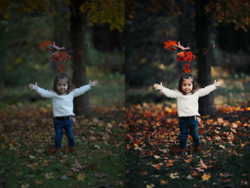 Happy Hour Fall Collection | Lightroom Presets