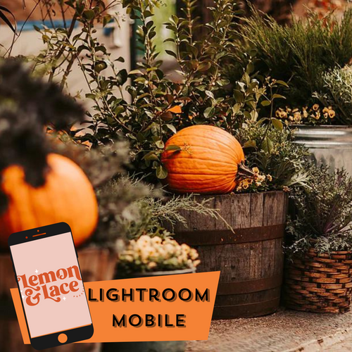 Pumpkin Patch | Lightroom Mobile Presets