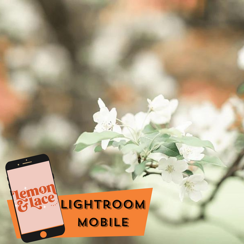 Light and Bright | Lightroom Mobile Presets