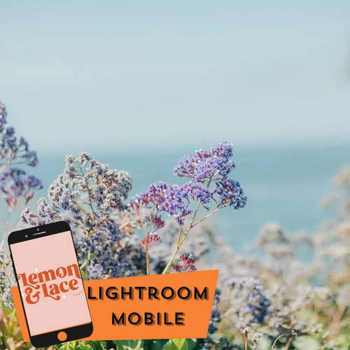 Lavender Breeze | Lightroom Mobile Presets