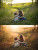 Golden Glow | Lightroom Presets