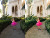 Bright Dreamy Lifestyle Lightroom Collection