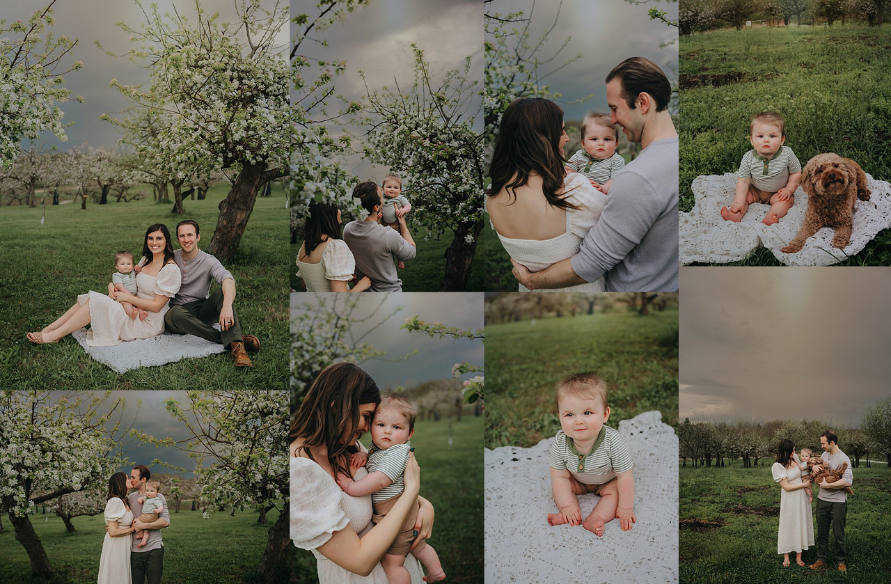 NEW! AI Moodscapes