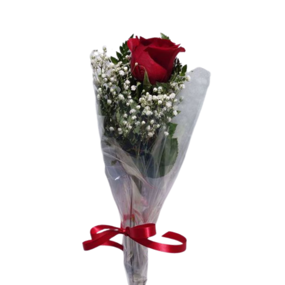 Single Red Rose — El Paso florist arrangement