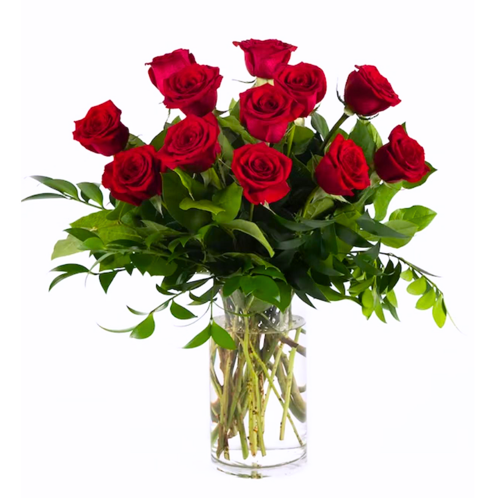 Dozen Red Roses — El Paso florist arrangement