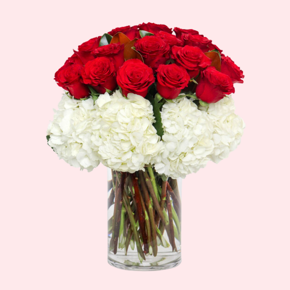 24 Roses + Hydrangeas — El Paso florist arrangement